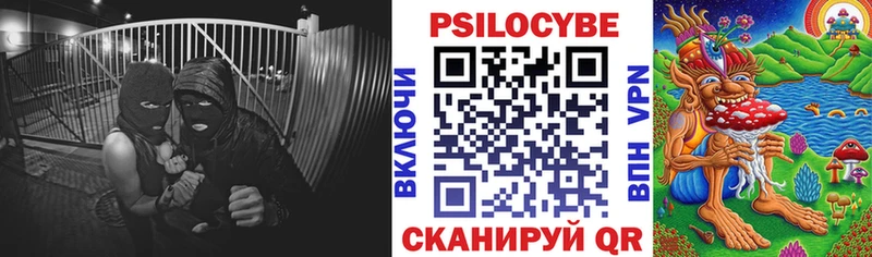 Галлюциногенные грибы мицелий  Ленинск 